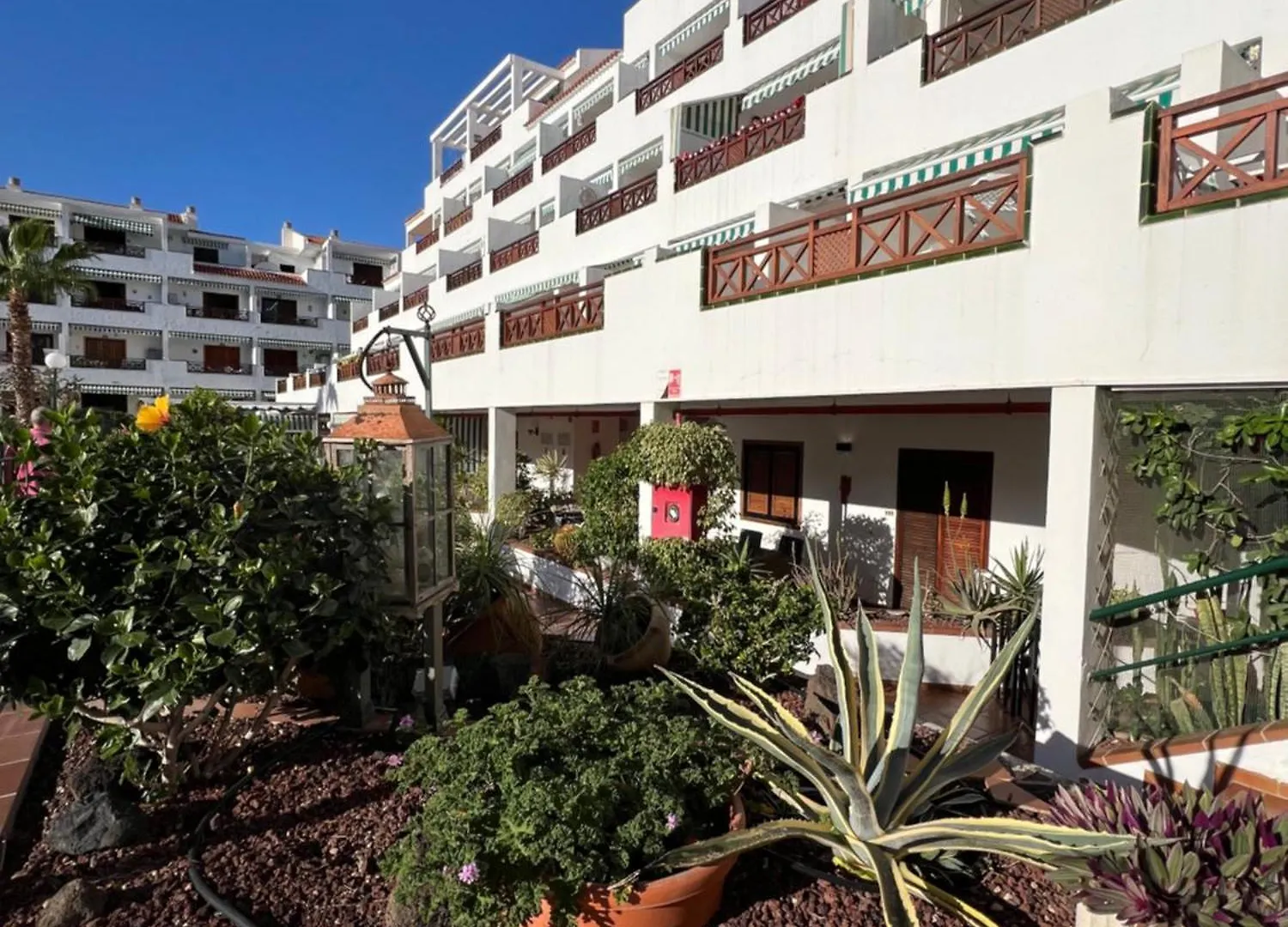Victoria Apartment Arona   Arona (Tenerife)